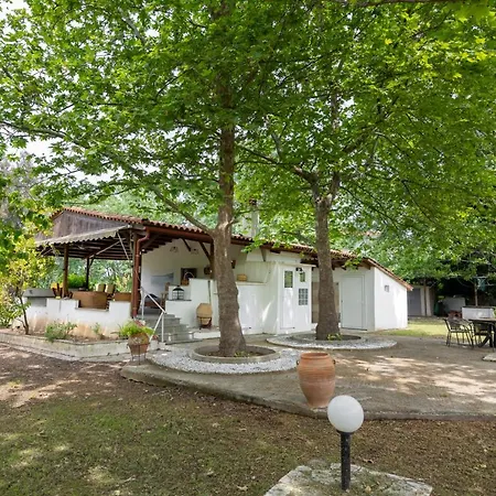 Prázdninový dům Summer Retreat In Sithonia #feelslikehome *